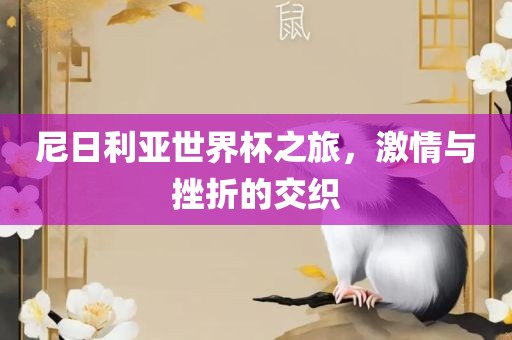 尼日利亚世界杯之旅，激情与挫折的交织