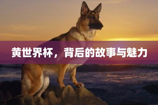 黄世界杯，背后的故事与魅力