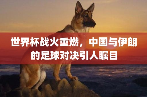 世界杯战火重燃，中国与伊朗的足球对决引人瞩目