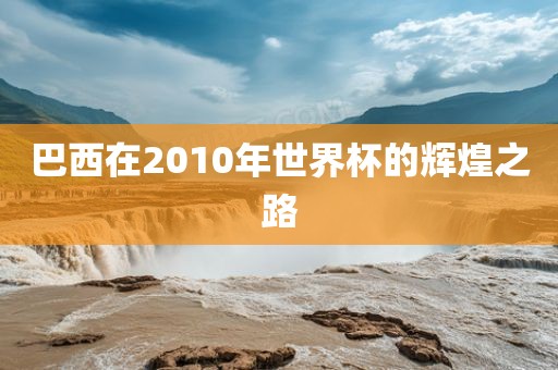 巴西在2010年世界杯的辉煌之路