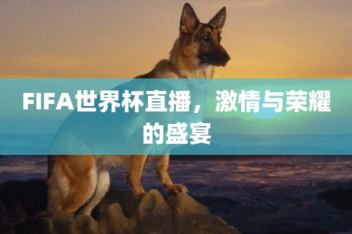 FIFA世界杯直播，激情与荣耀的盛宴