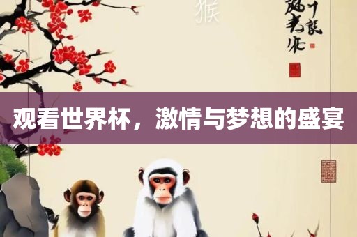 观看世界杯，激情与梦想的盛宴