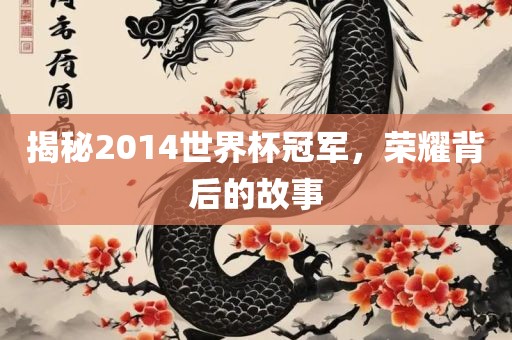 揭秘2014世界杯冠军，荣耀背后的故事