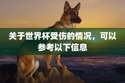 关于世界杯受伤的情况，可以参考以下信息