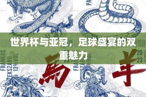世界杯与亚冠，足球盛宴的双重魅力