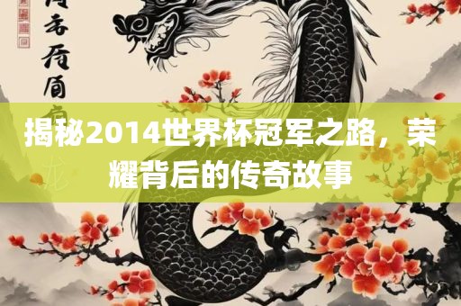 揭秘2014世界杯冠军之路，荣耀背后的传奇故事