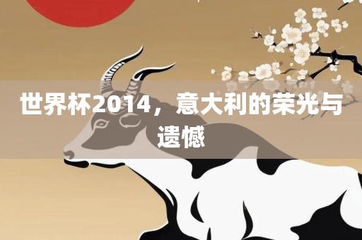 世界杯2014，意大利的荣光与遗憾