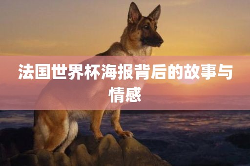 法国世界杯海报背后的故事与情感