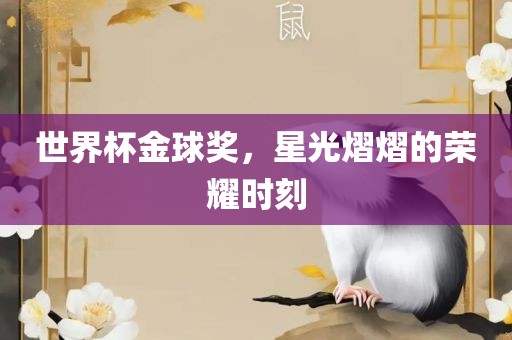 世界杯金球奖，星光熠熠的荣耀时刻