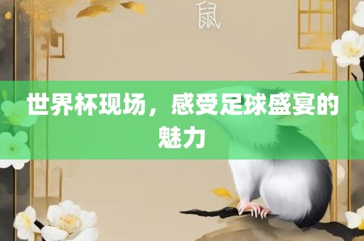 世界杯现场，感受足球盛宴的魅力