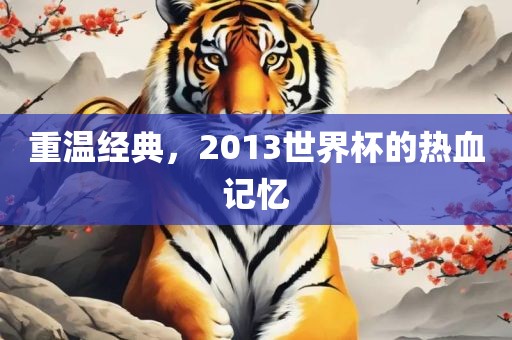 重温经典，2013世界杯的热血记忆