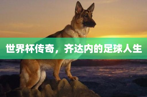 世界杯传奇，齐达内的足球人生