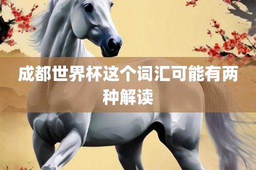 成都世界杯这个词汇可能有两种解读