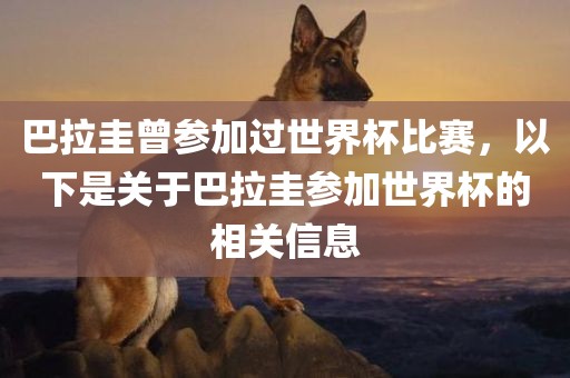 巴拉圭曾参加过世界杯比赛，以下是关于巴拉圭参加世界杯的相关信息