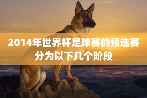 2014年世界杯足球赛的预选赛分为以下几个阶段