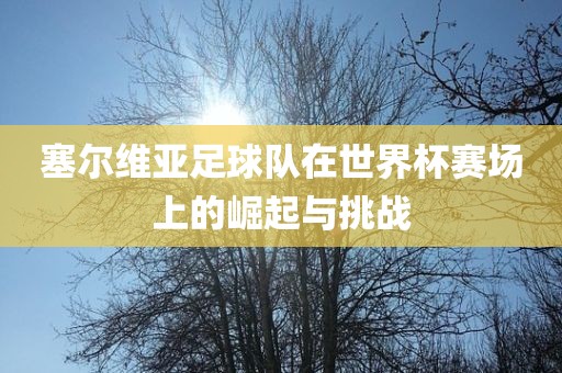 塞尔维亚足球队在世界杯赛场上的崛起与挑战
