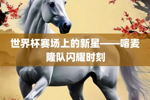 世界杯赛场上的新星——喀麦隆队闪耀时刻