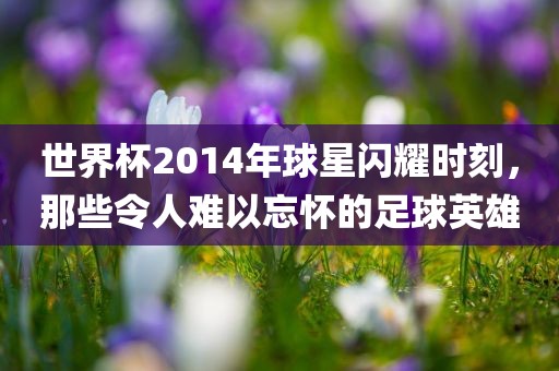 世界杯2014年球星闪耀时刻，那些令人难以忘怀的足球英雄