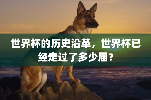 世界杯的历史沿革，世界杯已经走过了多少届？