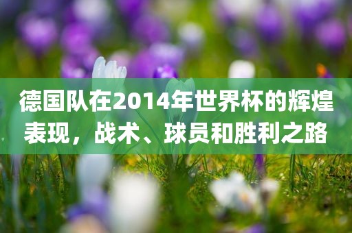 德国队在2014年世界杯的辉煌表现，战术、球员和胜利之路