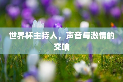 世界杯主持人，声音与激情的交响