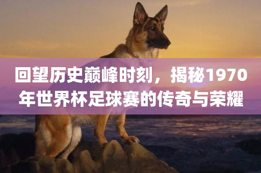 回望历史巅峰时刻，揭秘1970年世界杯足球赛的传奇与荣耀