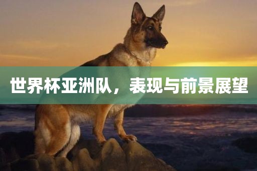 世界杯亚洲队，表现与前景展望