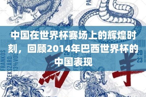 中国在世界杯赛场上的辉煌时刻，回顾2014年巴西世界杯的中国表现