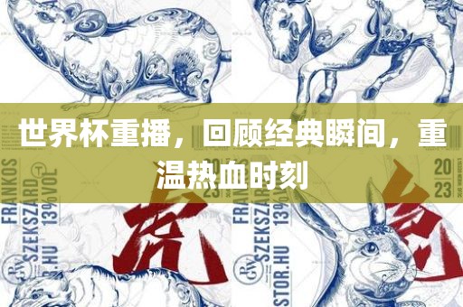 世界杯重播，回顾经典瞬间，重温热血时刻