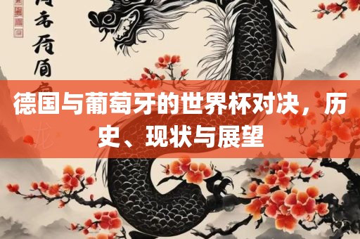 德国与葡萄牙的世界杯对决，历史、现状与展望