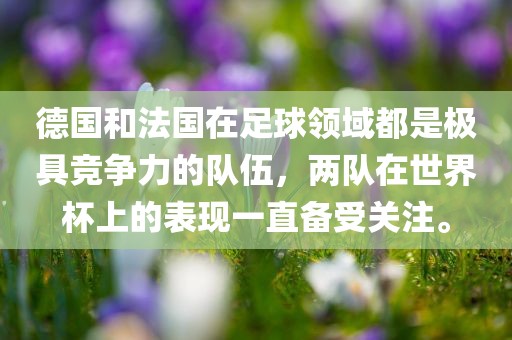 德国和法国在足球领域都是极具竞争力的队伍，两队在世界杯上的表现一直备受关注。