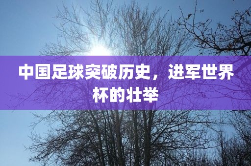 中国足球突破历史，进军世界杯的壮举