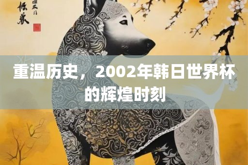 重温历史，2002年韩日世界杯的辉煌时刻