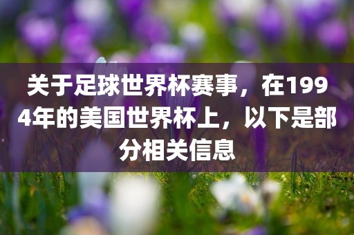 关于足球世界杯赛事，在1994年的美国世界杯上，以下是部分相关信息