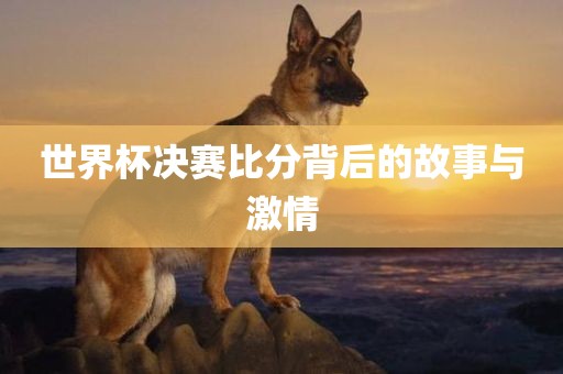 世界杯决赛比分背后的故事与激情