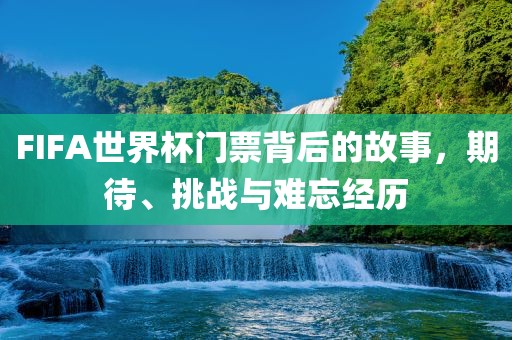 FIFA世界杯门票背后的故事，期待、挑战与难忘经历