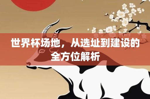 世界杯场地，从选址到建设的全方位解析