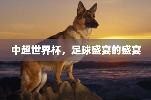 中超世界杯，足球盛宴的盛宴