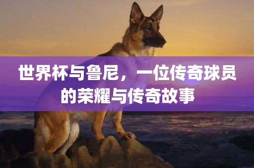 世界杯与鲁尼，一位传奇球员的荣耀与传奇故事