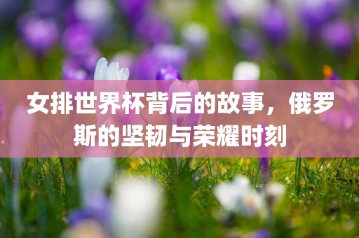 女排世界杯背后的故事，俄罗斯的坚韧与荣耀时刻