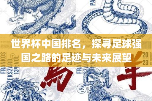 世界杯中国排名，探寻足球强国之路的足迹与未来展望
