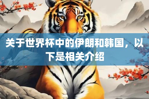 关于世界杯中的伊朗和韩国，以下是相关介绍