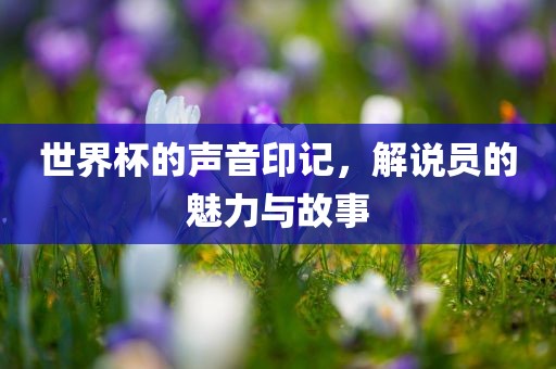 世界杯的声音印记，解说员的魅力与故事