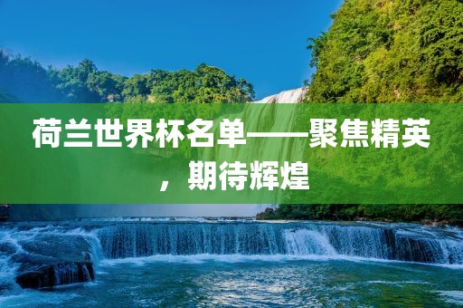 荷兰世界杯名单——聚焦精英，期待辉煌