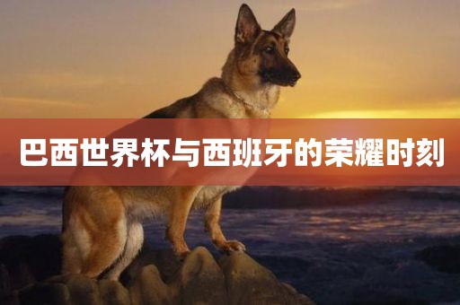 巴西世界杯与西班牙的荣耀时刻