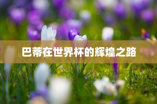 巴蒂在世界杯的辉煌之路