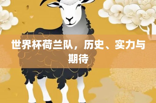 世界杯荷兰队，历史、实力与期待