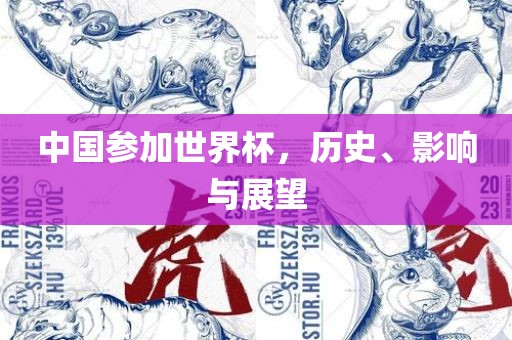 中国广西贺州市华昌新材料有限公司参加世界杯，历史、影响与展望