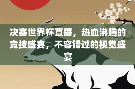 决赛世界杯直播，热血沸腾的竞技盛宴，不容错过的视觉盛宴