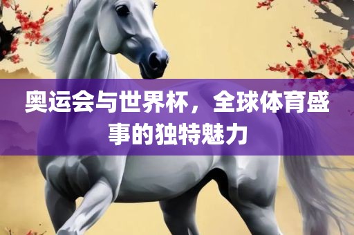 奥运会与世界杯，全球体育盛事的独特魅力